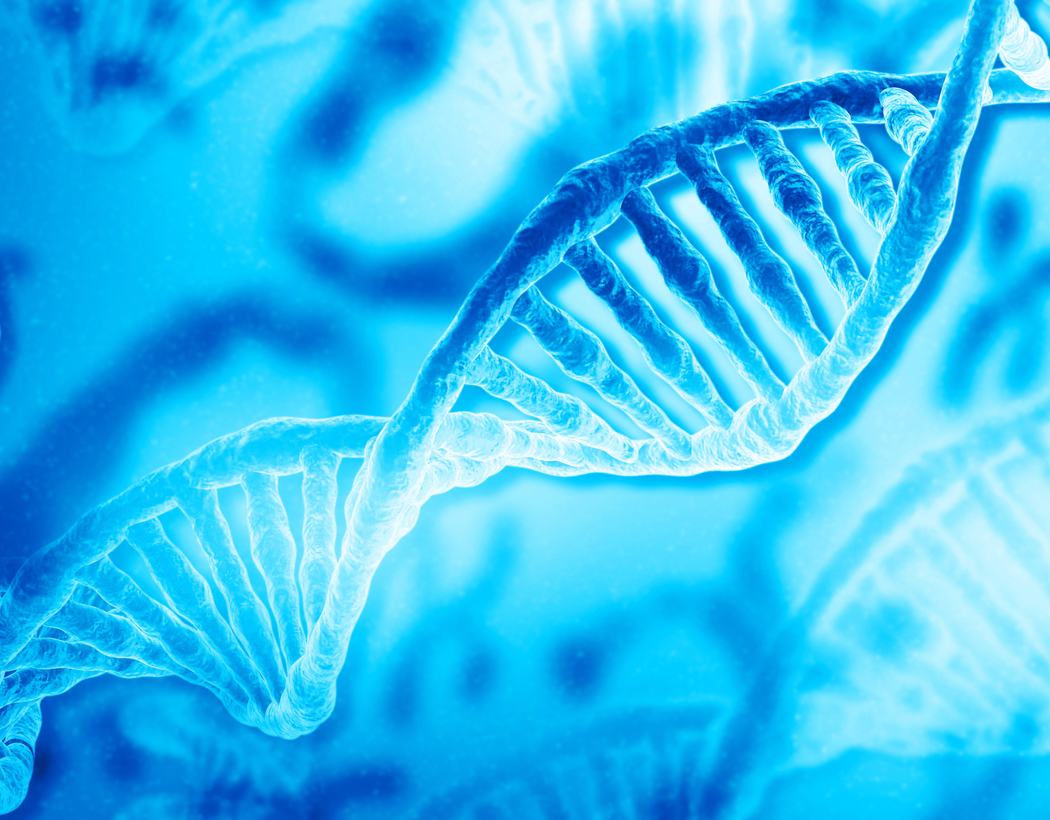 Scientists Reveal How Sex Impacts Gene Expression In Mammals