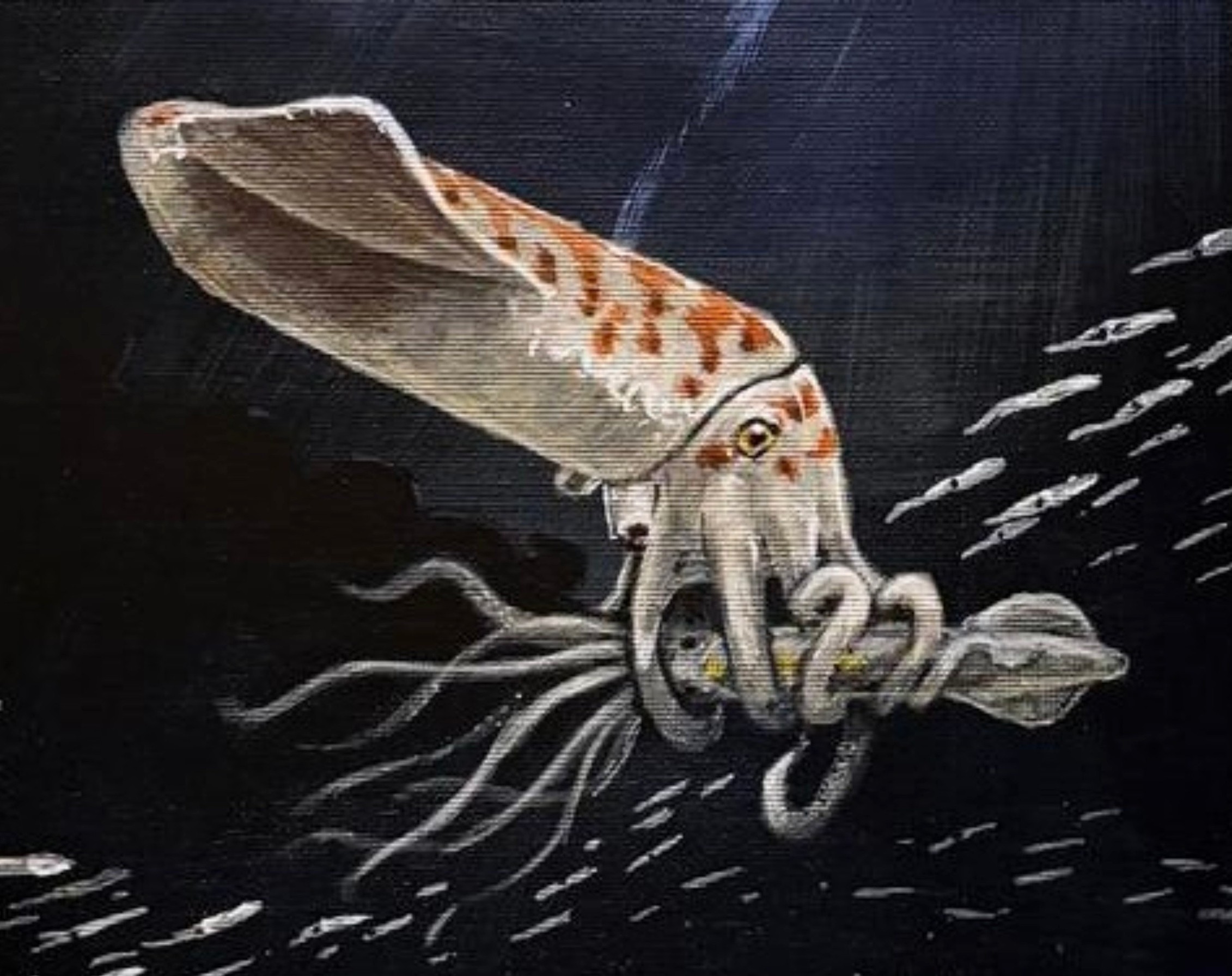 Bizarre squid relative found in Wyoming is unlike anything seen before