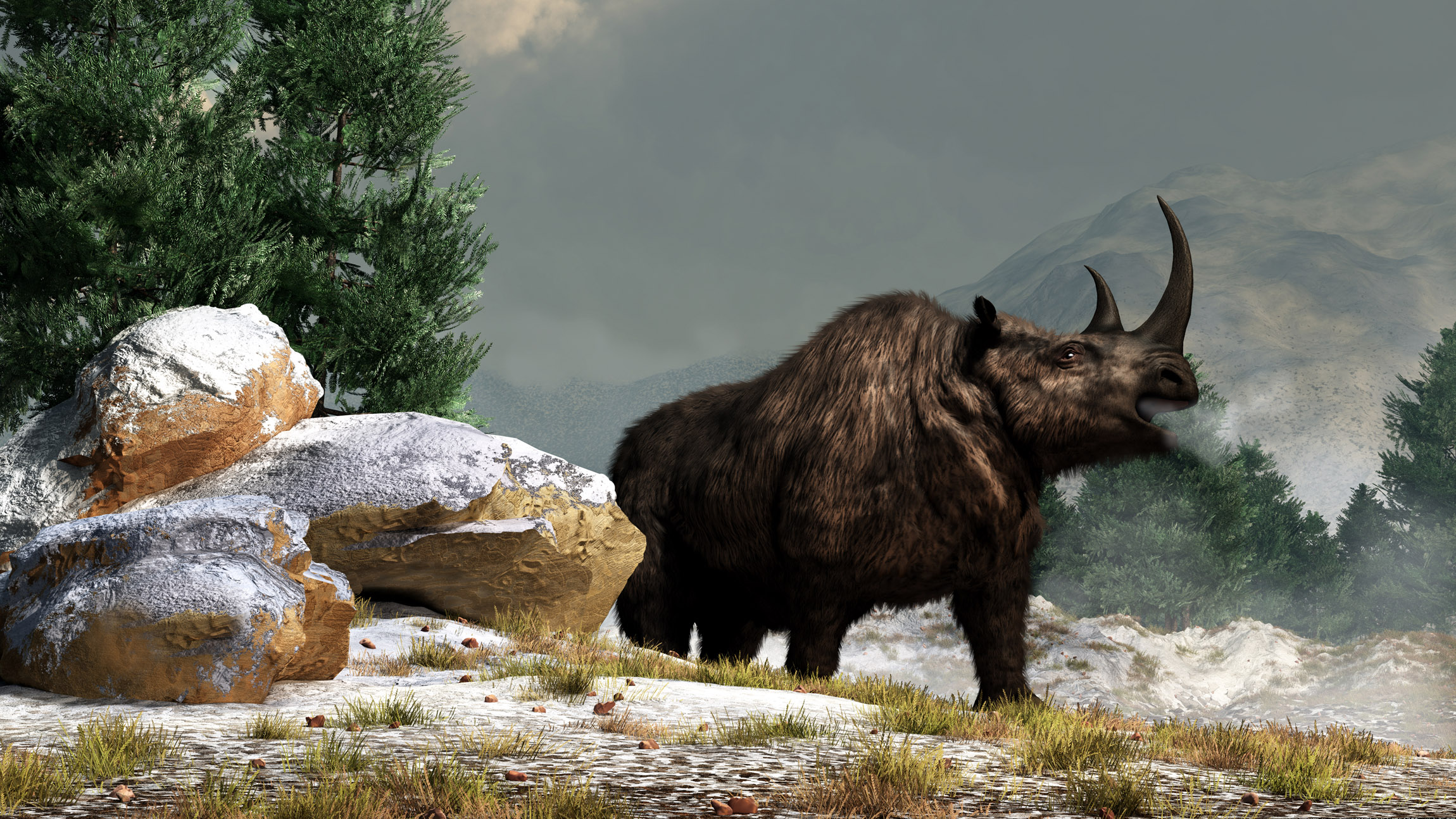 The woolly rhino’s Ice Age story stretches far south of Siberia