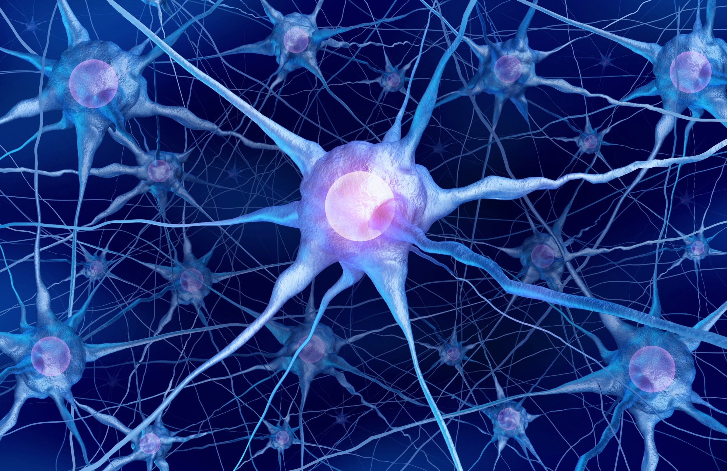 Making a choice triggers a hidden shift in how your brain stores the options