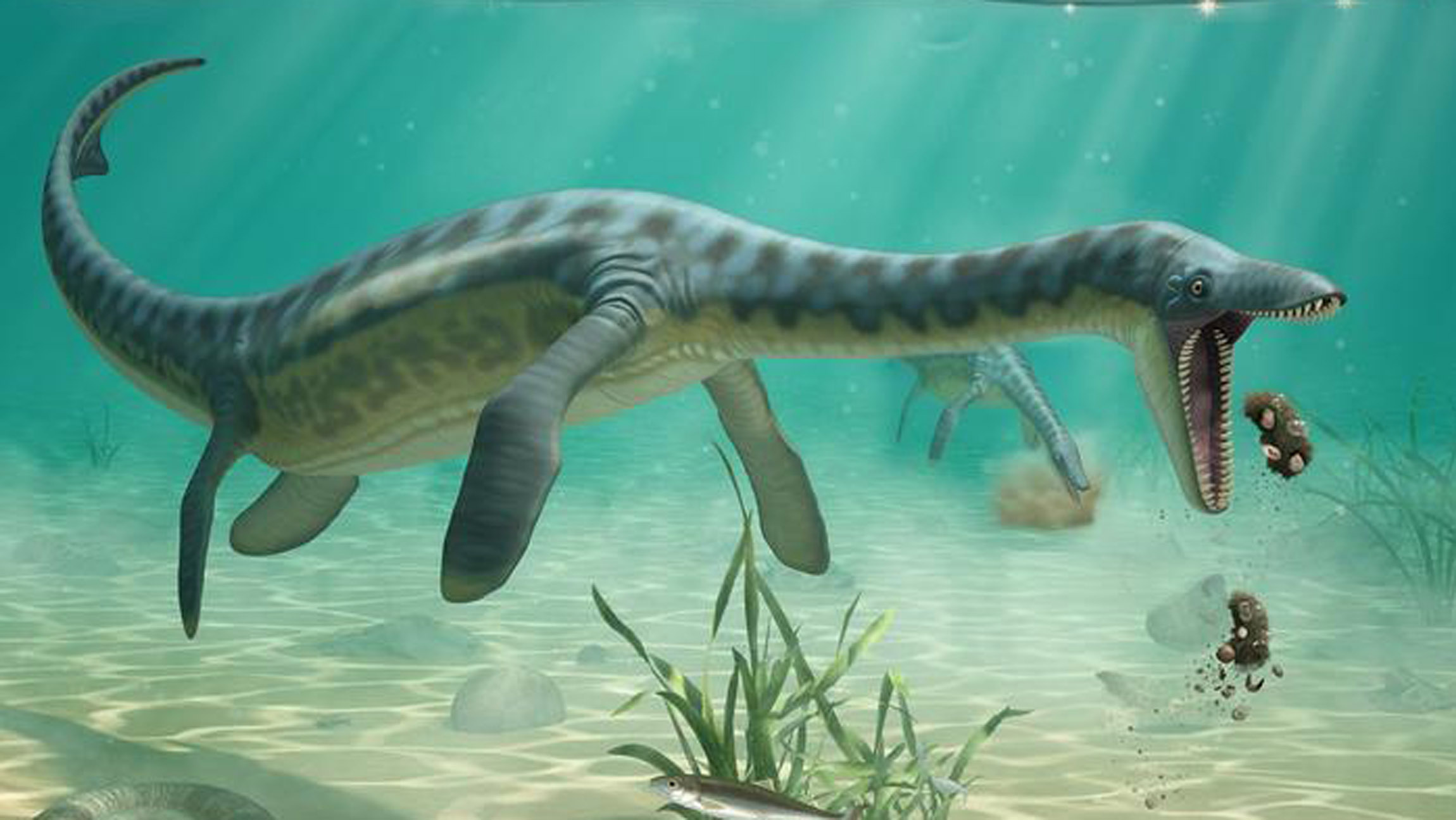 Long-necked sea monsters may have left behind a record of their meals