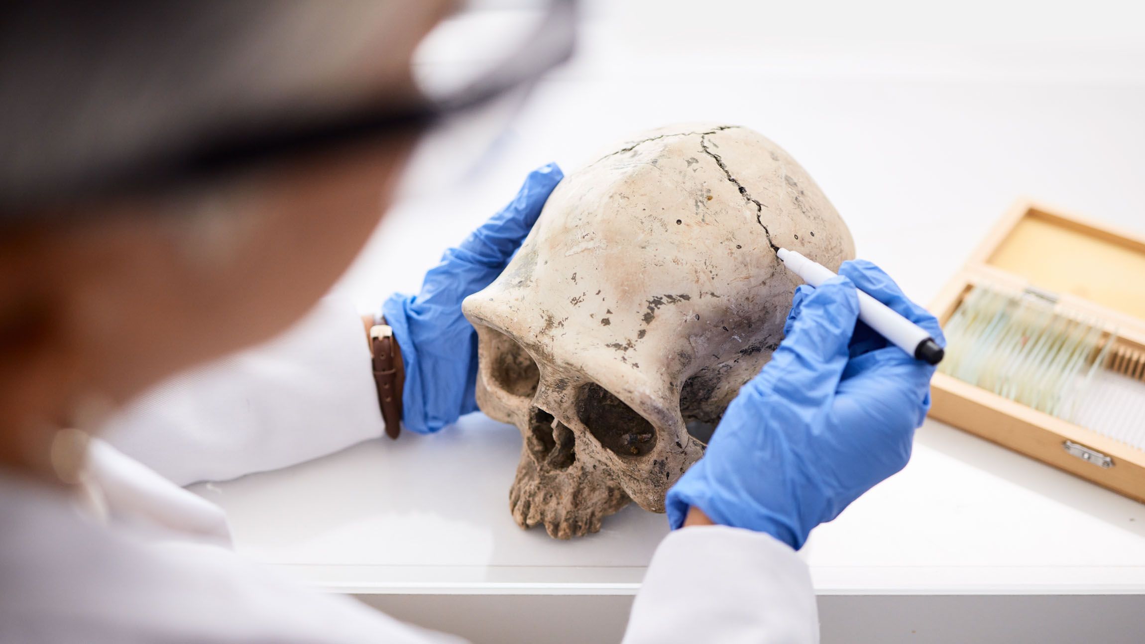 Skull fractures offer new evidence of human sacrifice in ancient Egypt