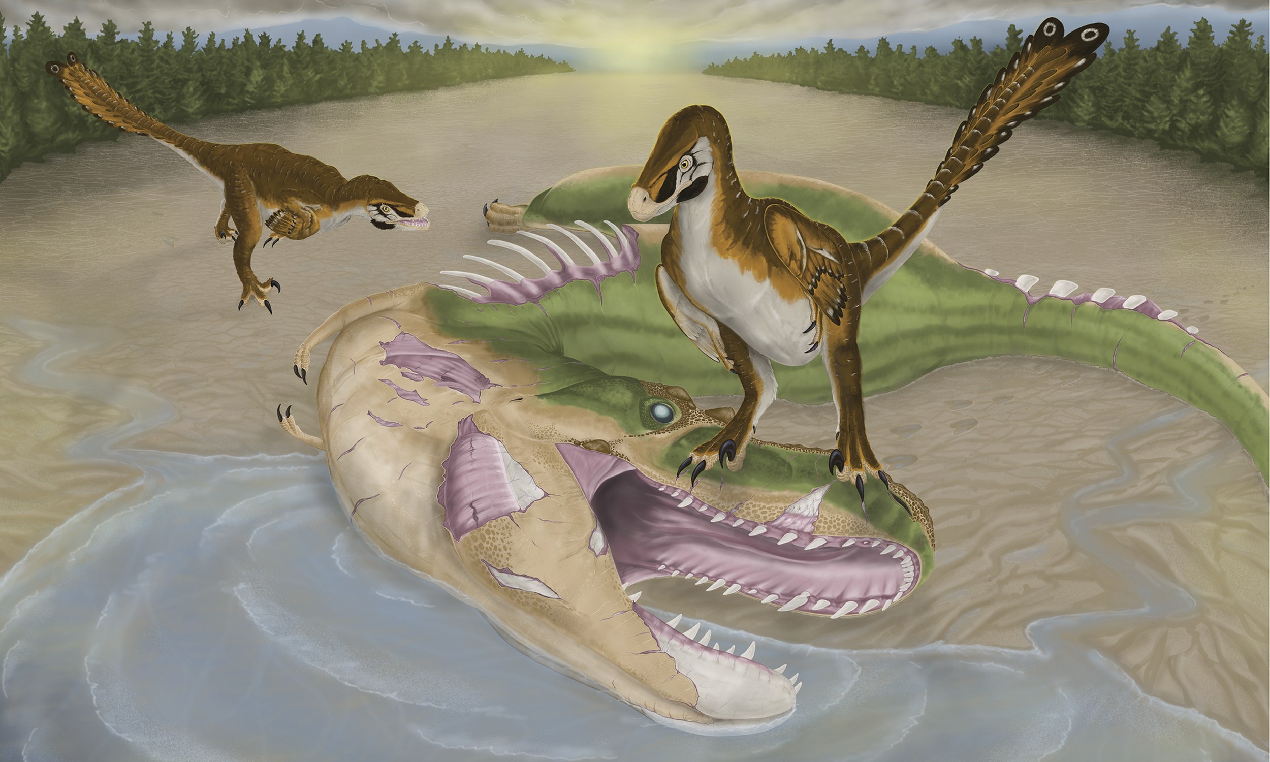 Man finds an Albertosaurus jaw with bite marks from a dinosaur that likely weighed 30 times less