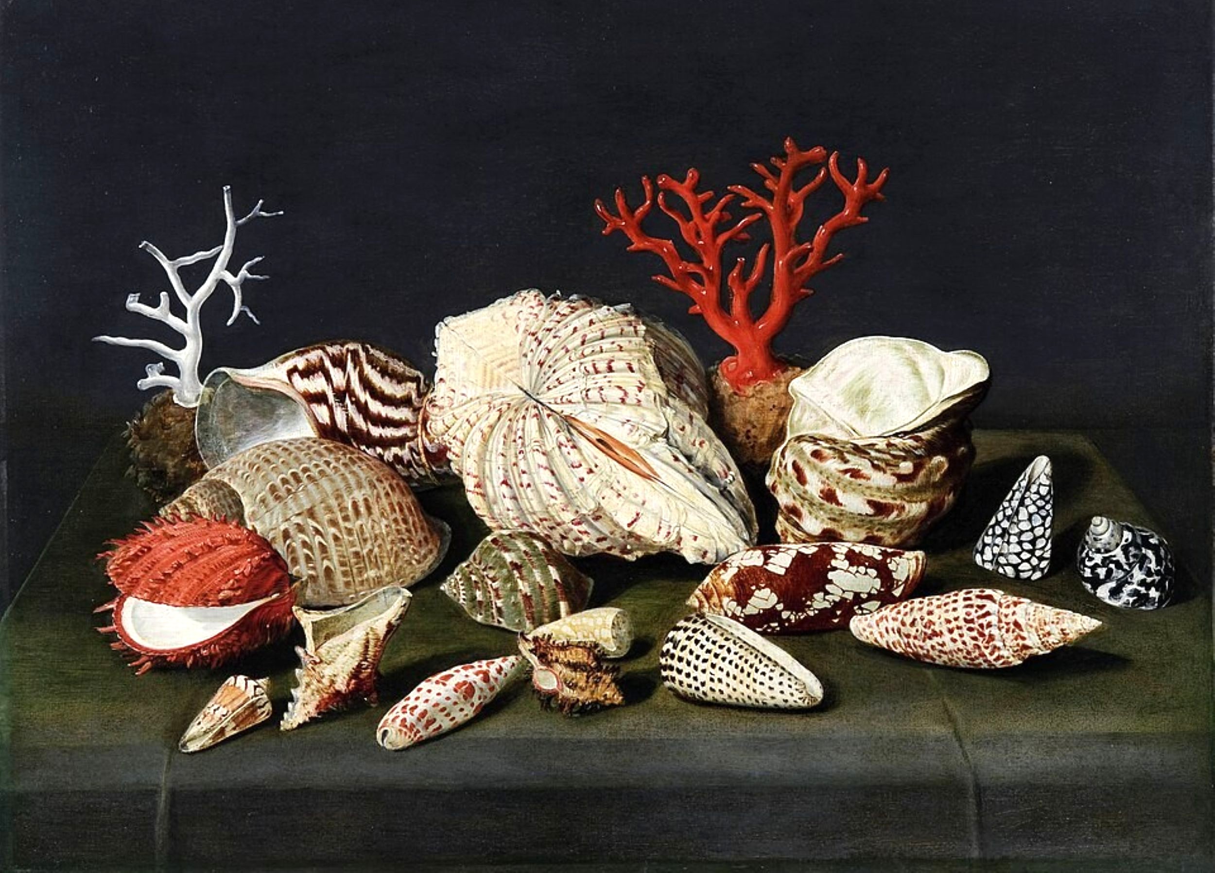 Forgotten sea creature is found hiding in centuries-old paintings