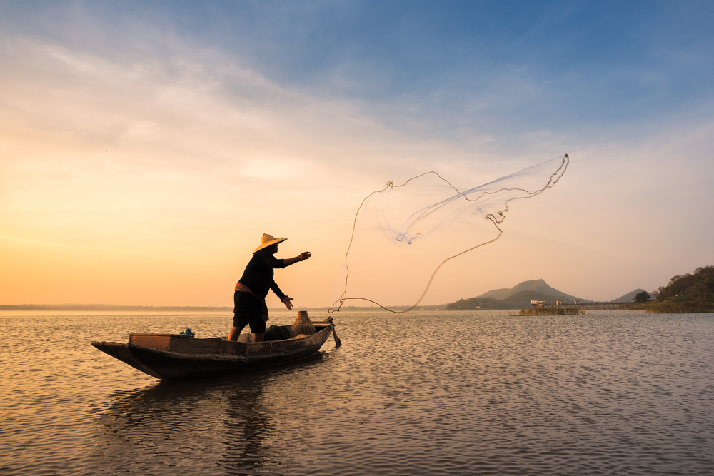 Fall in sales deters fishermen from going to sea