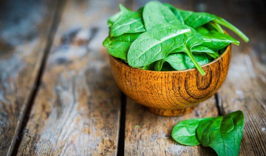 Scientists build working heart tissue using spinach leaves •