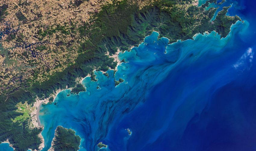 Today’s Image of the Day comes thanks to the NASA Earth Observatory and features a look at dark phytoplankton blooms off the coast of Brazil.