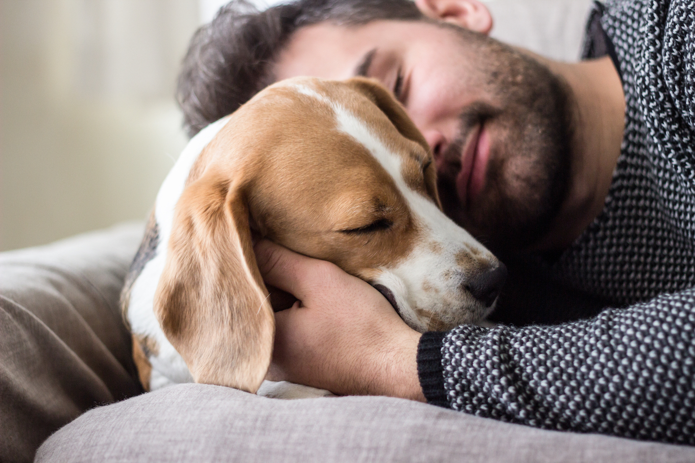 Science Proves That Your Dog Really Does Love You Earth
