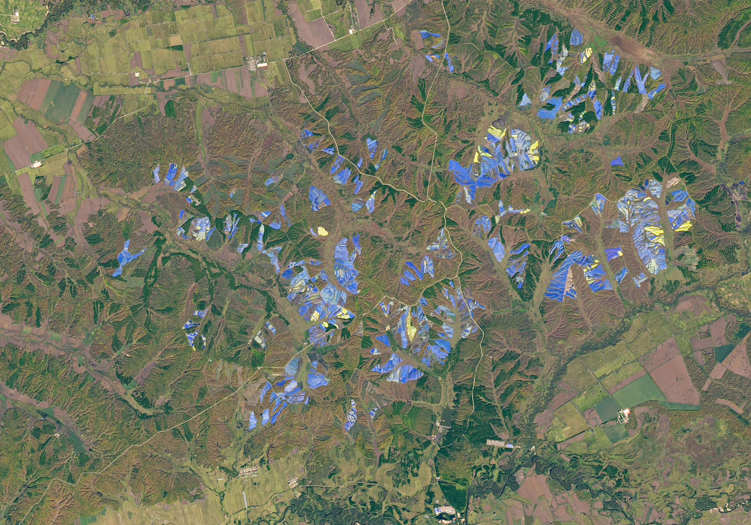 Today’s Image of the Day comes courtesy of the NASA Earth Observatory and features a look at ginseng farms in northern China.