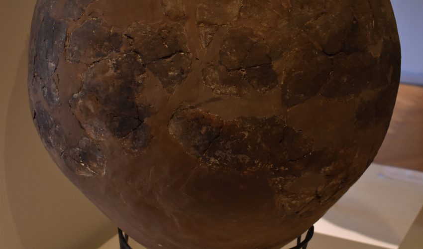 Archaeologists have discovered ceramic fragments that are the earliest evidence of winemaking known to exist worldwide.