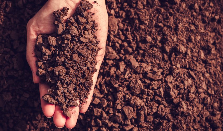 The study revealed that some groups of bacteria are always present in soil, no matter where it is on the planet.