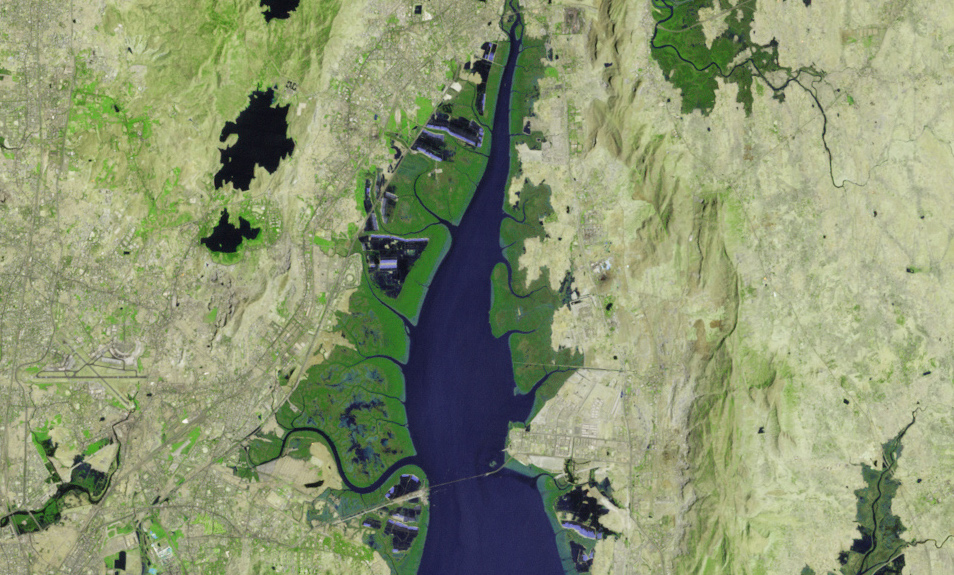 Today’s Image of the Day comes courtesy of the NASA Earth Observatory and features a look at lush mangroves along the Thane Creek in Mumbai.