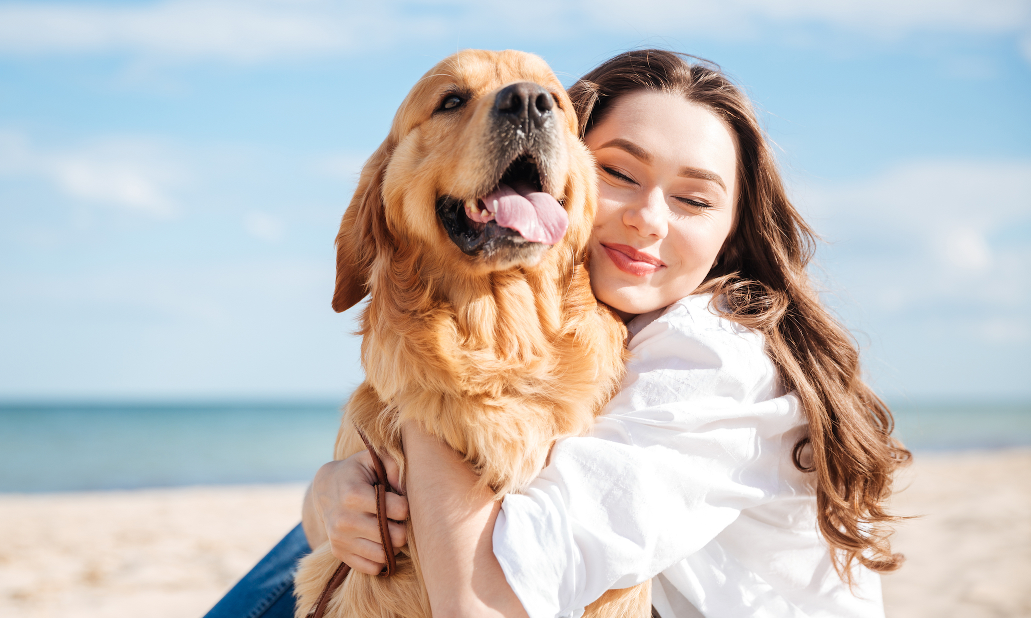 Human 2024 hugging dog