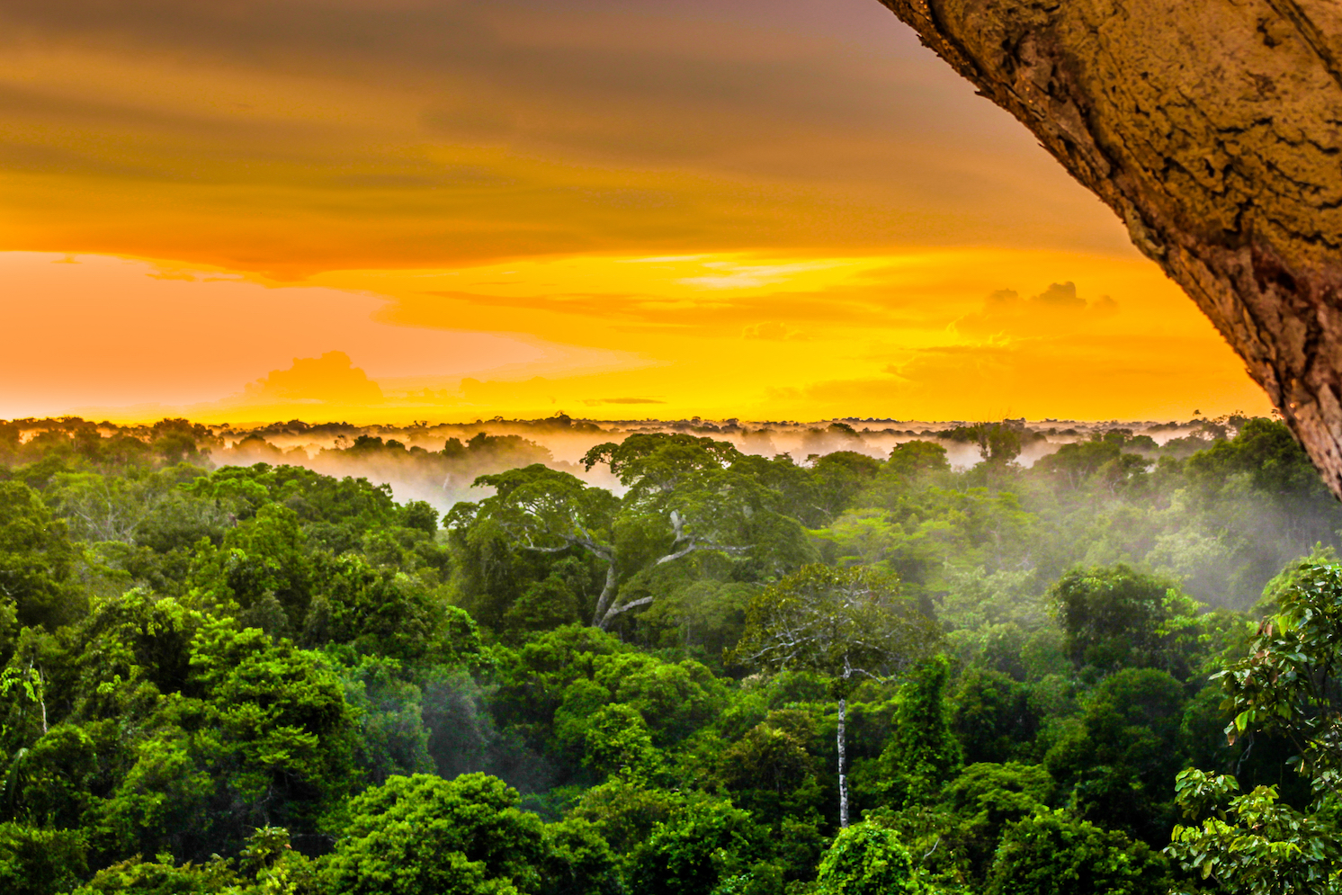 Useful Top 10 Biggest Rainforests In The World TOP HOBBIES Useful Top 10 Biggest Rainforests In The World TOP HOBBIES