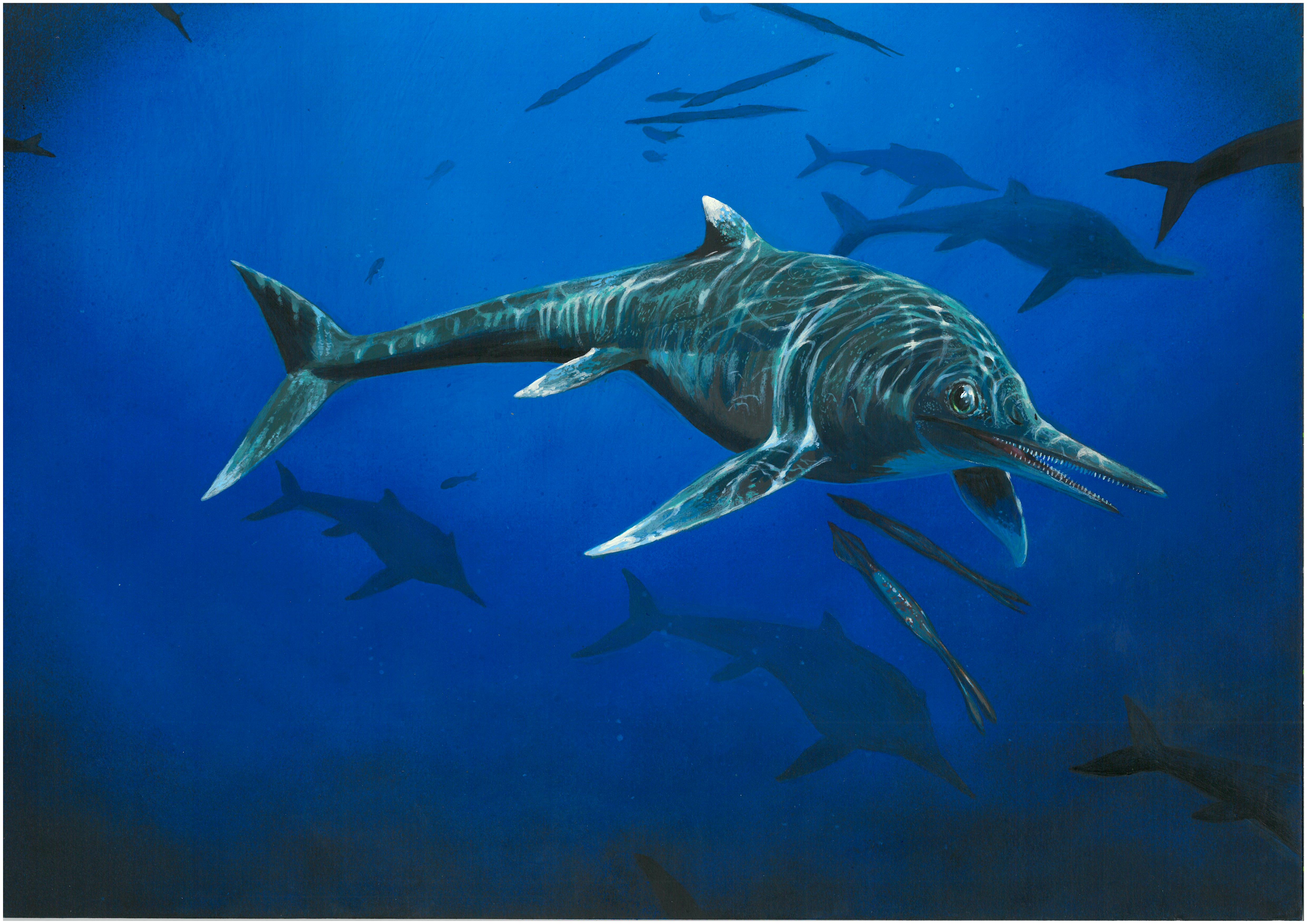 Prehistoric Sea Reptile Lived 200 Million Years Ago Earth