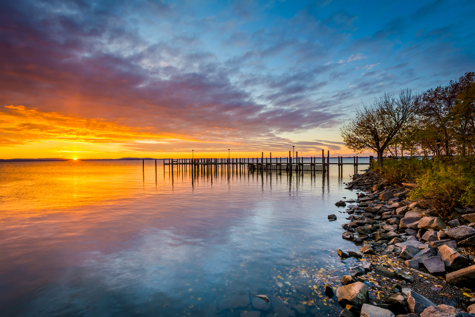 Chesapeake Bay experiencing remarkable habitat recovery • Earth com Chesapeake Bay experiencing remarkable habitat recovery • Earth com
