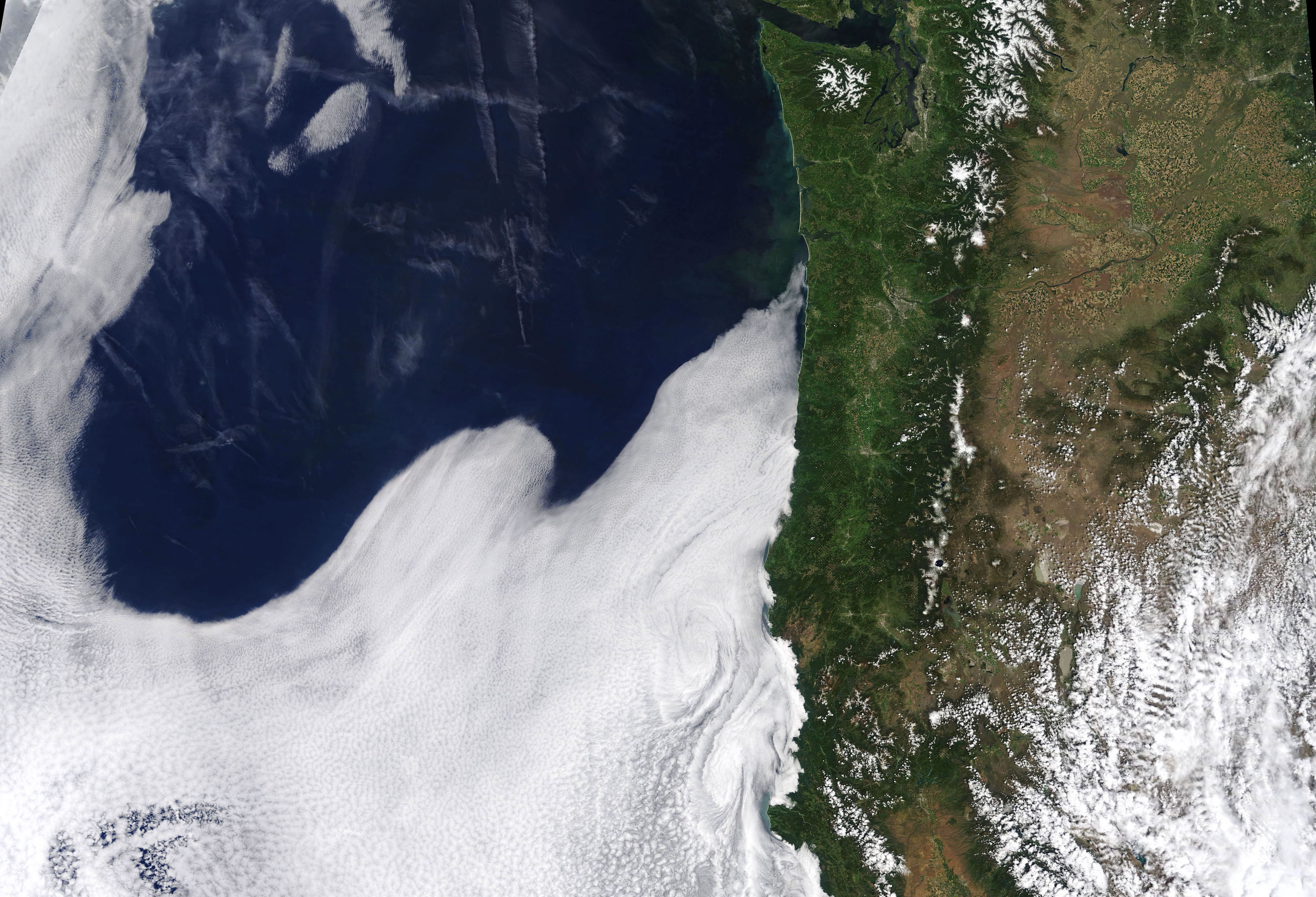 Today’s Image of the Day comes from the NASA Earth Observatory and features a panoramic view of the west coast of the United States.