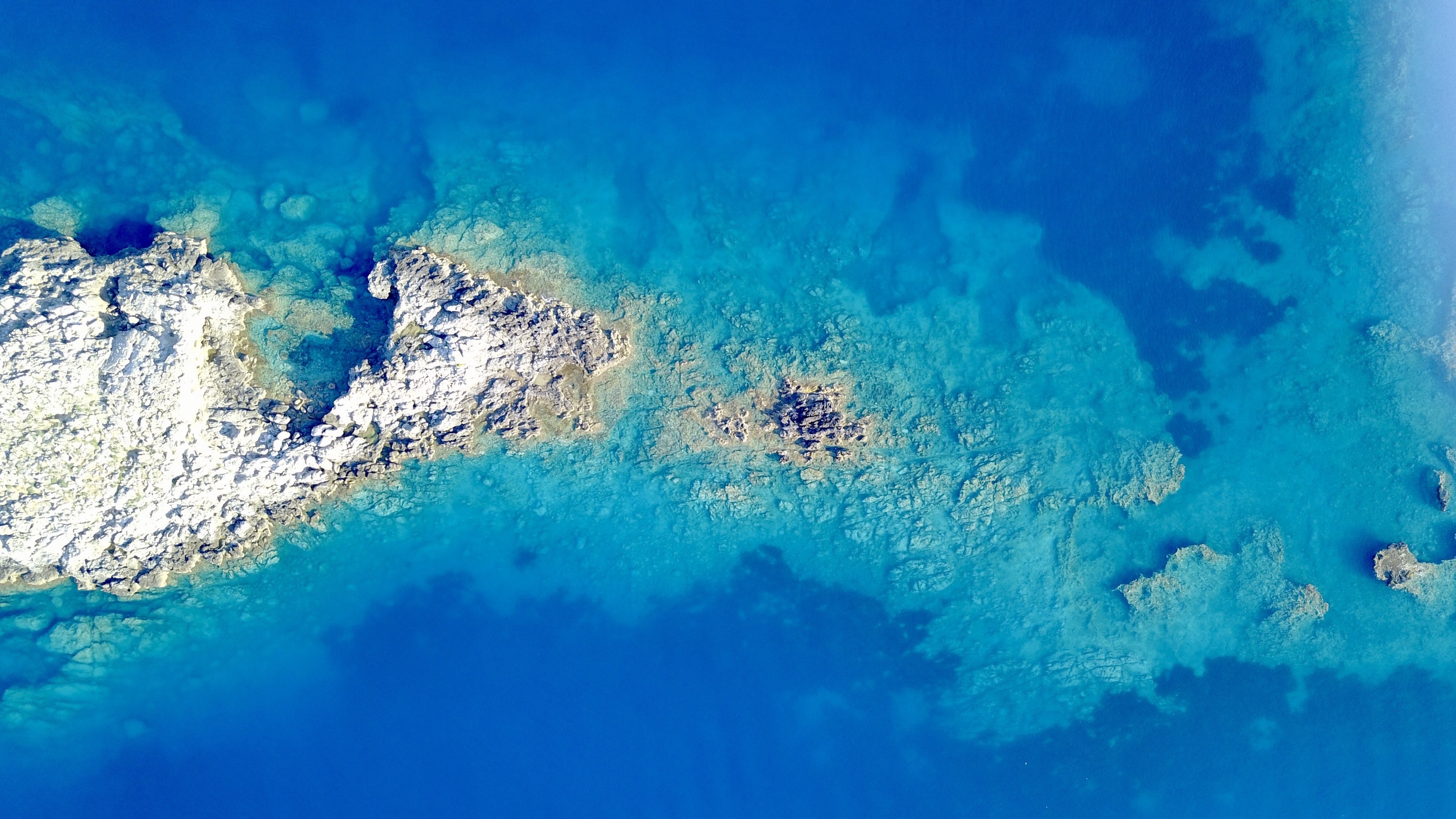 When land first rose above water, it transformed Earth’s climate