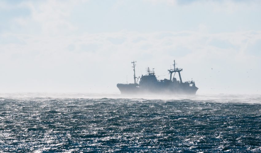 Fishing on the high seas, which covers 64 percent of the ocean’s surface, is unprofitable if not for government subsidies, according to a new extensive report covering the economics of fishing.