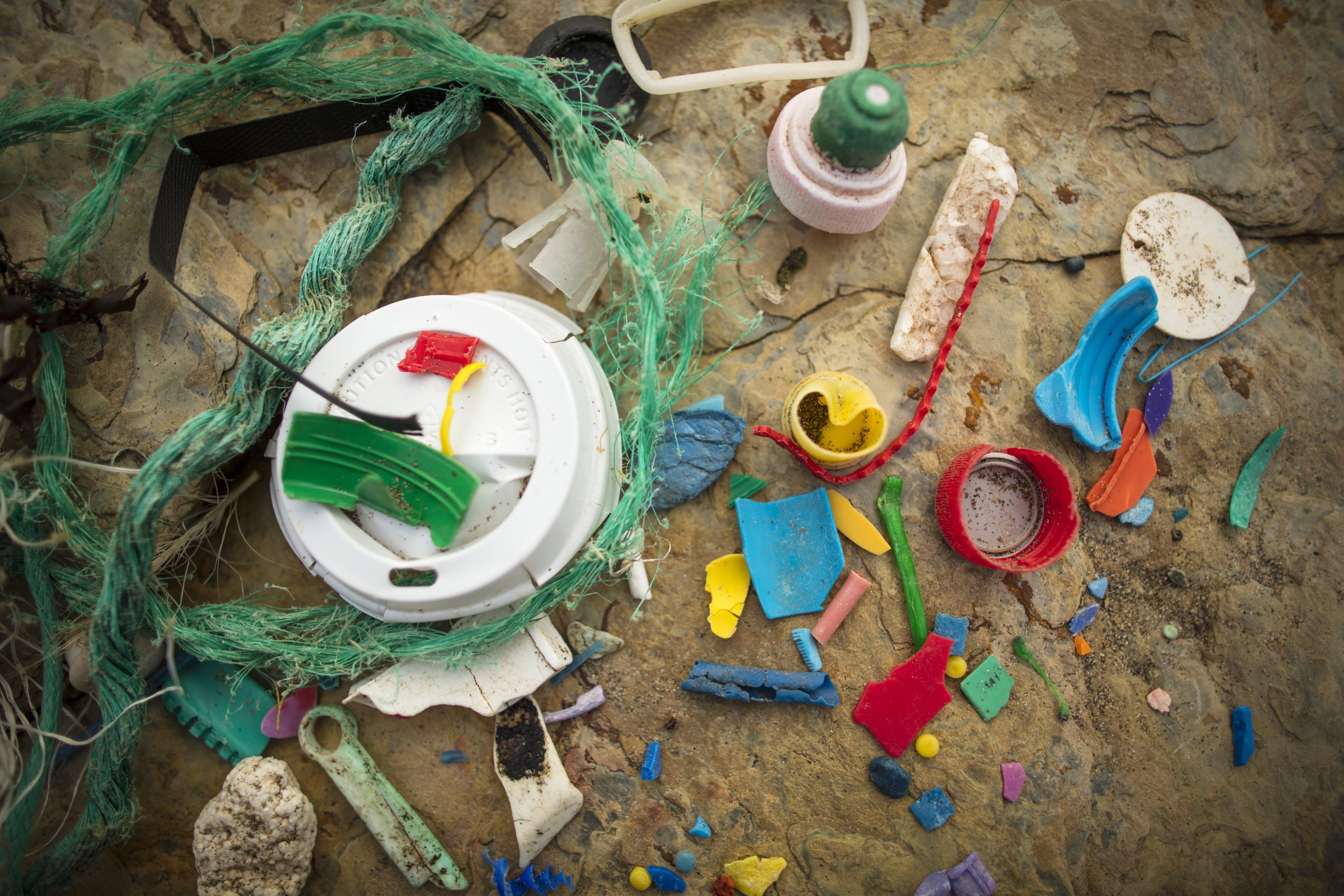 As The Ocean Litter Crisis Worsens Who Is To Blame Earth