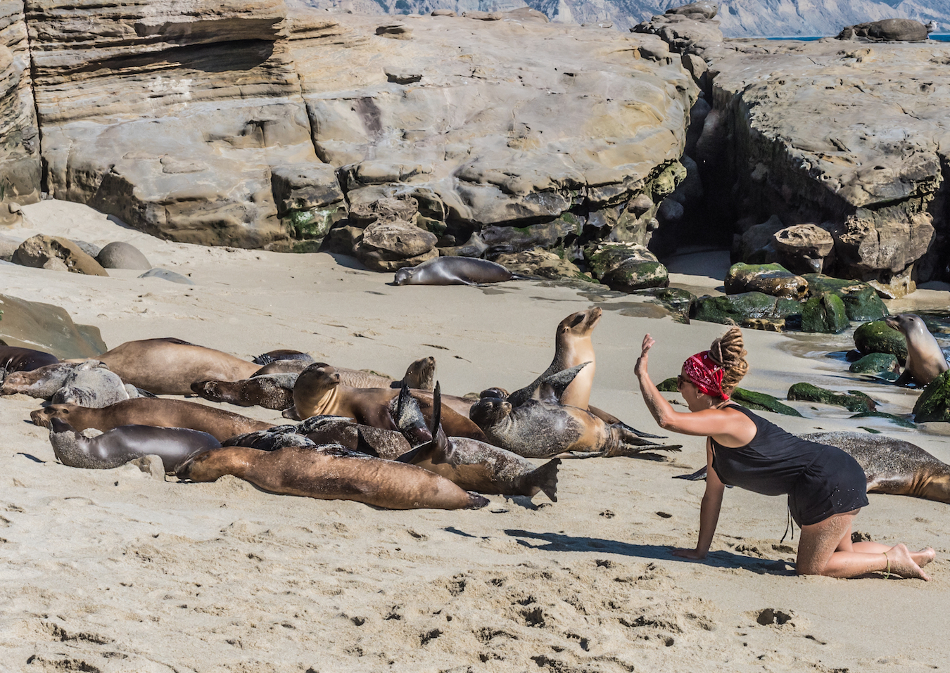 When Tourists Get Too Close To Wildlife It Won t End Well Earth when-tourists-get-too-close-to-wildlife-it-won-t-end-well-earth