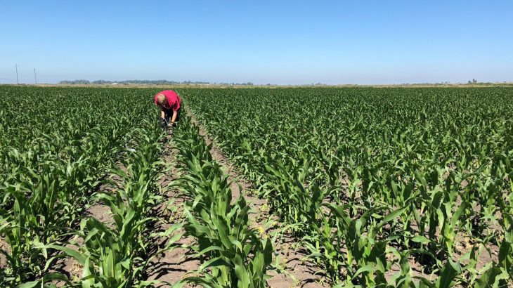A new study reports low-tech ways to improve soil quality on farms while pulling carbon out of our atmosphere and slowing climate change.