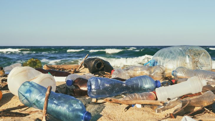 While the goal of biodegradable plastics is that they will not persist as long in the environment, their fate is relatively uncertain.