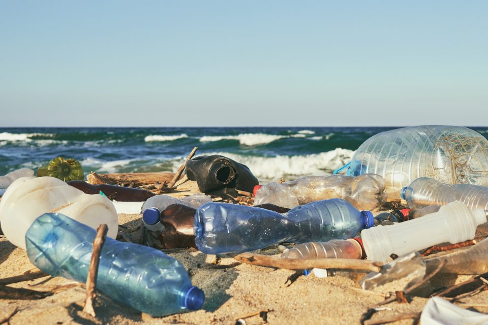 Can biodegradable plastics help slow plastic pollution? •