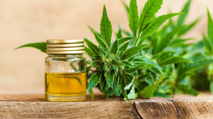 A new study has found that a single dose of cannabidiol can help reduce the brain function abnormalities found in patients with psychosis.