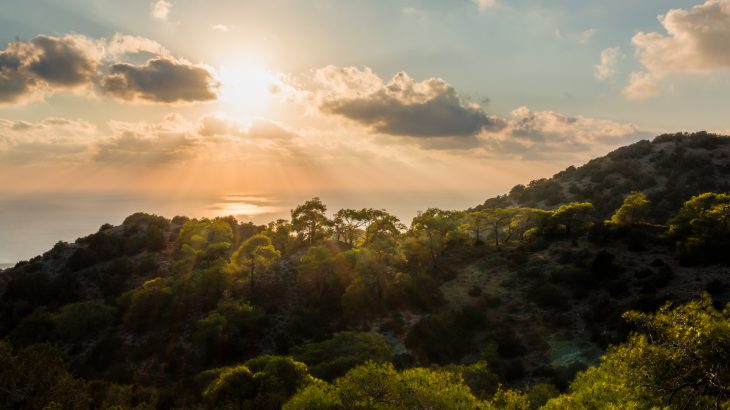 When most people think of the Mediterranean, they probably imagine rolling hills covered in vineyards or olive orchards.
