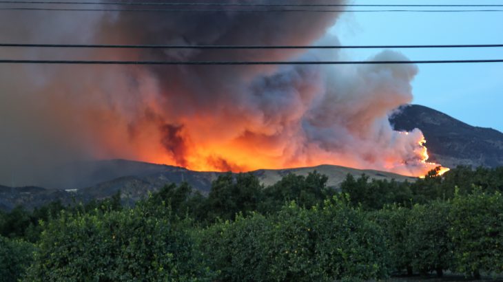 The world's ecosystems are facing the threat of “major transformation” if harmful greenhouse gas emissions are not dramatically reduced.
