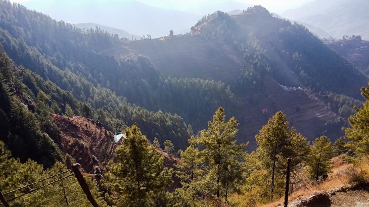 Researchers led a study that projected the future of vegetation on Earth based on how plant life changed at the end of the last ice age.