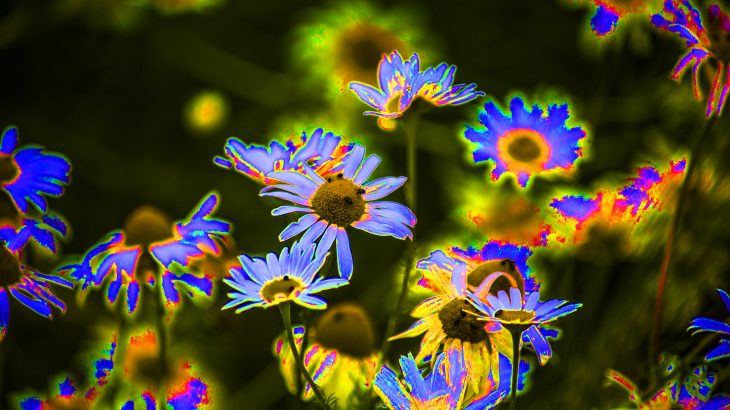 Today marks the launch of a study on the benefits of LSD microdosing, where participants will set up a placebo-controlled trial on their own.