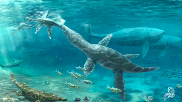 Marine predators living deep in the ocean during the Jurassic Period thrived in a time when global warming caused the sea levels to rise.