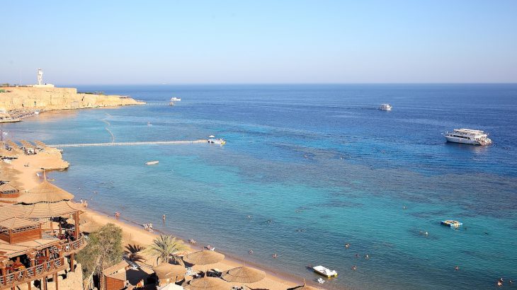 Researchers found microplastics in one in every six fish in the Red Sea, showing once again that plastic pollution truly is a global crisis.