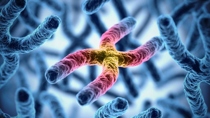 Researchers developed a method that allowed them to identify 25 genes that help explain why humans live so much longer than other primates.