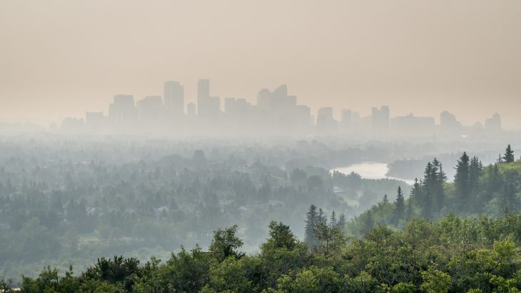 A new study has found that the number of deaths from wildfire smoke exposure could more than double in the coming years.