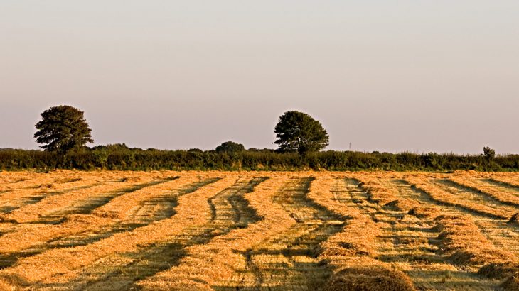 A new project funded by the NSF could soon help track air quality and let farmers know when is the best time for applying pesticides.