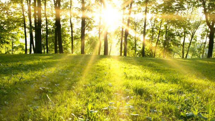 Climate change is linked to earlier spring arrival, which has a wide array of effects on more than just your spring wardrobe.