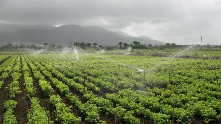 According to recent estimates, as much as 70 percent of all the world's freshwater is used for crop irrigation.