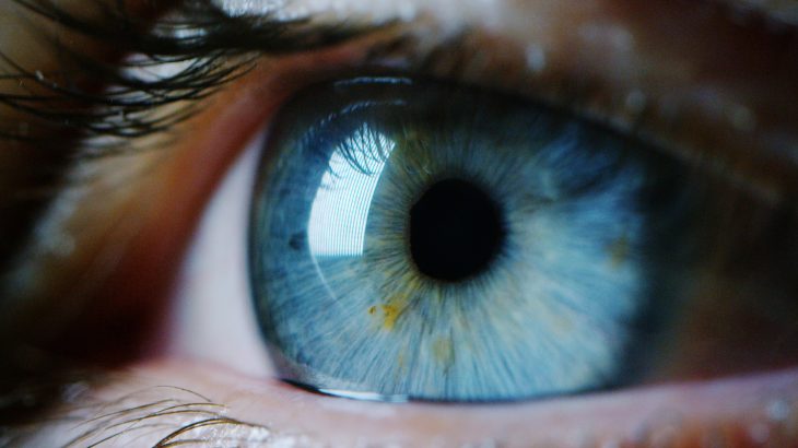 A new study in the journal Neuron reports findings on how the retina is able to reprogram itself for dealing with low light at night.