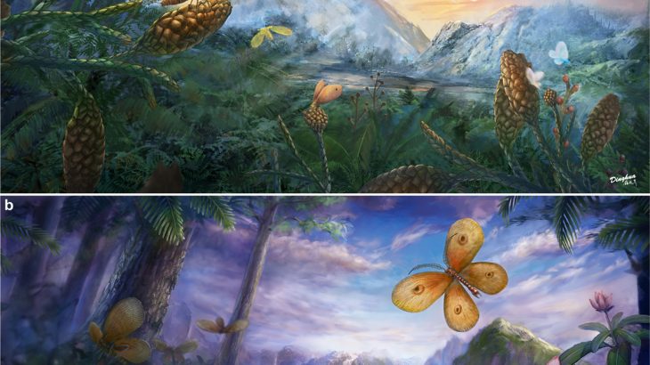 Angiosperms make up the largest and most diverse groups of plants on Earth and their evolution was largely driven by pollinating insects.
