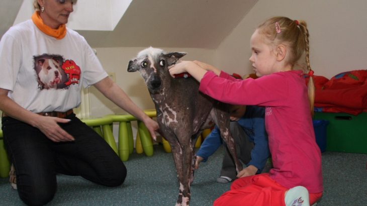 Researchers at Czech University have found that dog-assisted therapy may be more effective than standard speech therapy for children.