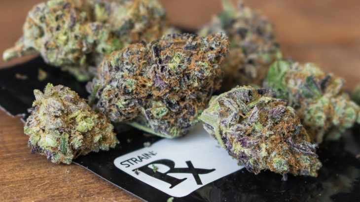 A new study has found that children will start using marijuana an average of two years earlier when they have mothers who use marijuana.