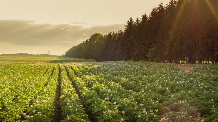 ESA’s new EOPLUG-IN service will allow high resolution data from satellites to be sent directly to farmers and industry leaders.