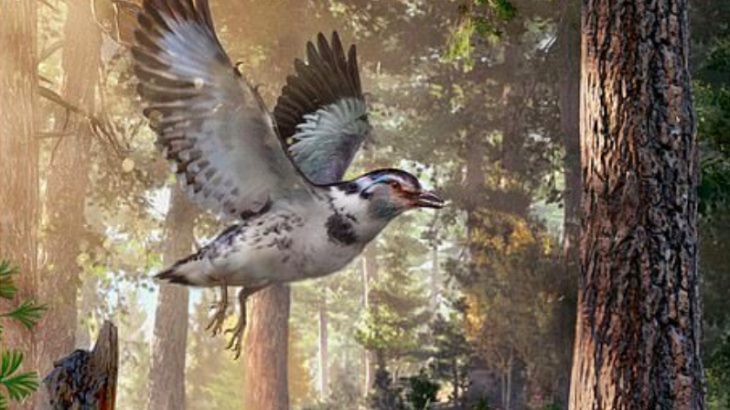 A fossil that dates back 127 million years is providing insight into the genetic link between modern birds and ancient dinosaurs.