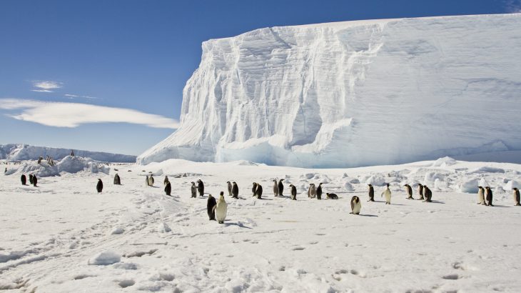 If global warming reaches 2 degrees more than pre-industrial levels, it could spell disaster for the world’s largest ice sheet in Antarctica.