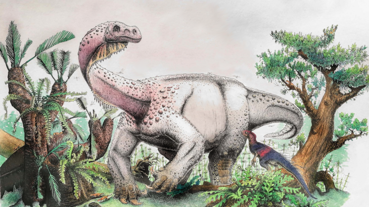 A new species of dinosaur sheds light on the earliest dinosaurs from the Jurassic period during the Mesozoic era.