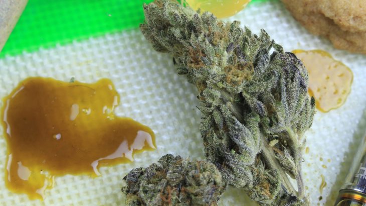 Most teens who have tried cannabis have used it in more than one form, including combustible, edible, or vaporized.