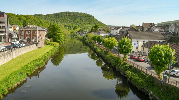 Microplastics measuring less than 5 millimeters were found in as many as one in two freshwater insects at every site.